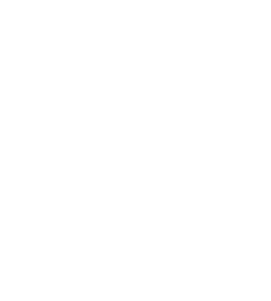 DEISEL Objekt - Komplexes Know-How